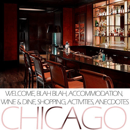 LUXE Travel Guide - Chicago