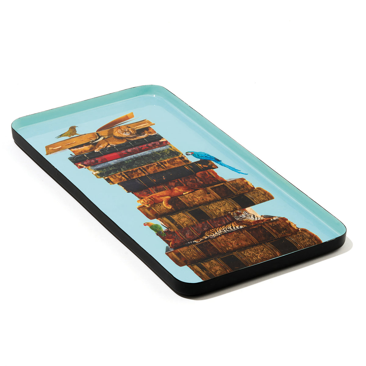 Curiosito Rectangular Tray - Anibook