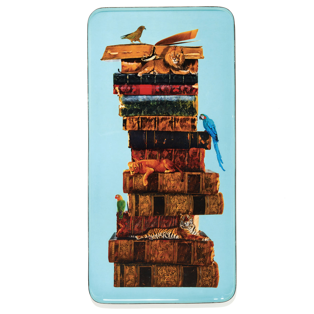 Curiosito Rectangular Tray - Anibook