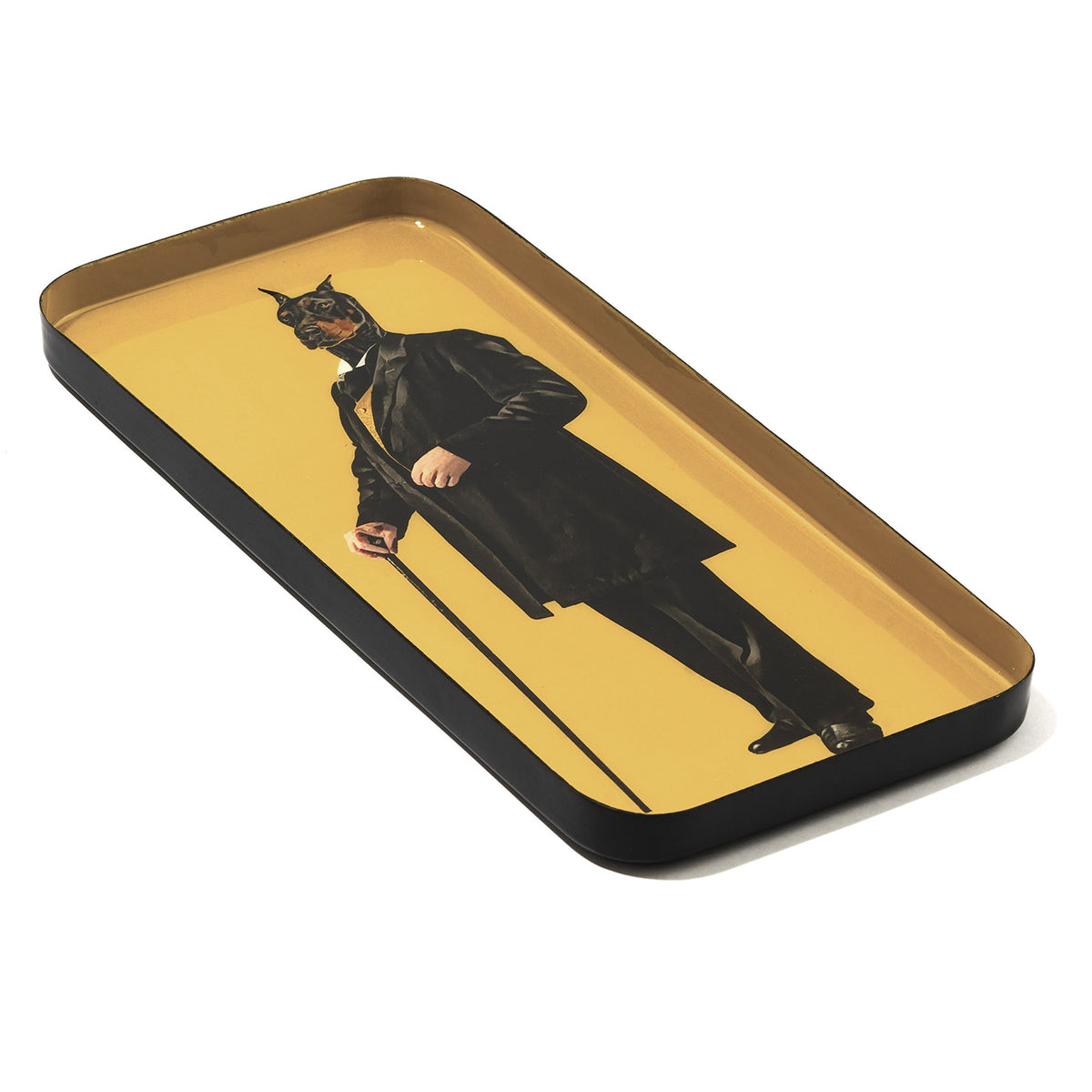Curiosito Trinket Tray - Doug
