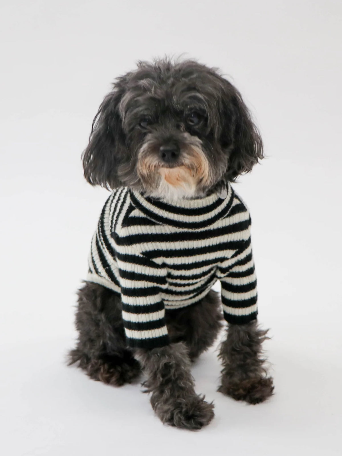 The Woof Sweater